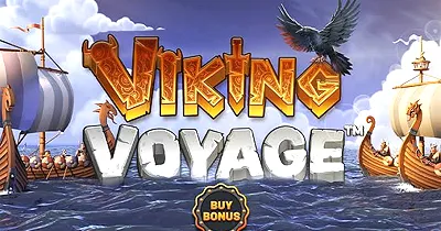 Viking Voyage