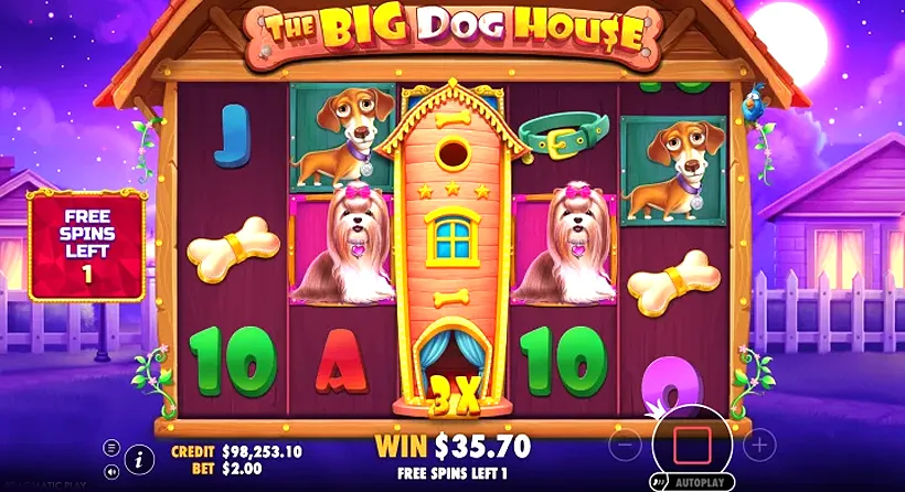 The Big Dog House anmeldelser