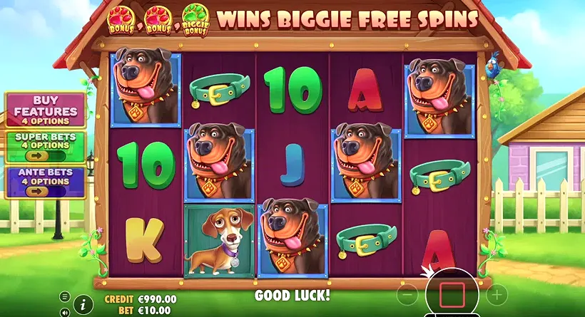The Big Dog House slot